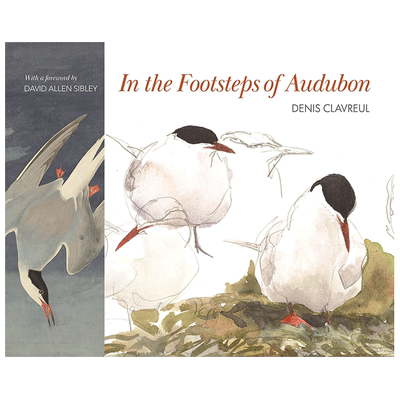 【现货】英文原版 追随奥杜邦的脚步 In the Footsteps of Audubon 插画/原画/设定集 正版进口图书画册 善优图书
