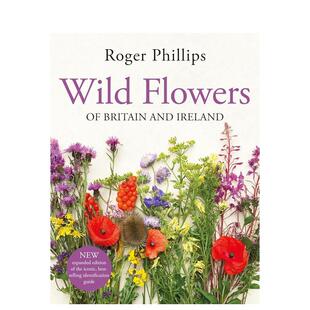 Wild 进口书 预售 正版 英文摄影作品集自然景观 Flowers 野花 原版