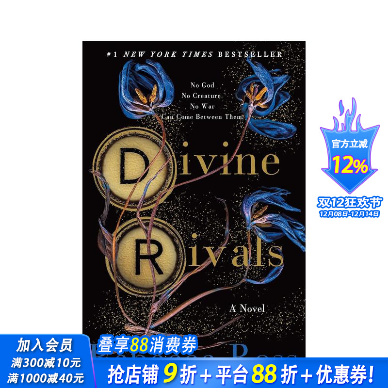 神圣对手 小说 Divine