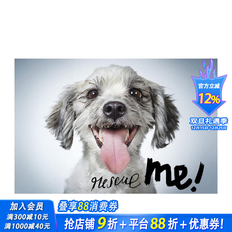 拯救我：纽约的狗狗收养肖像和故