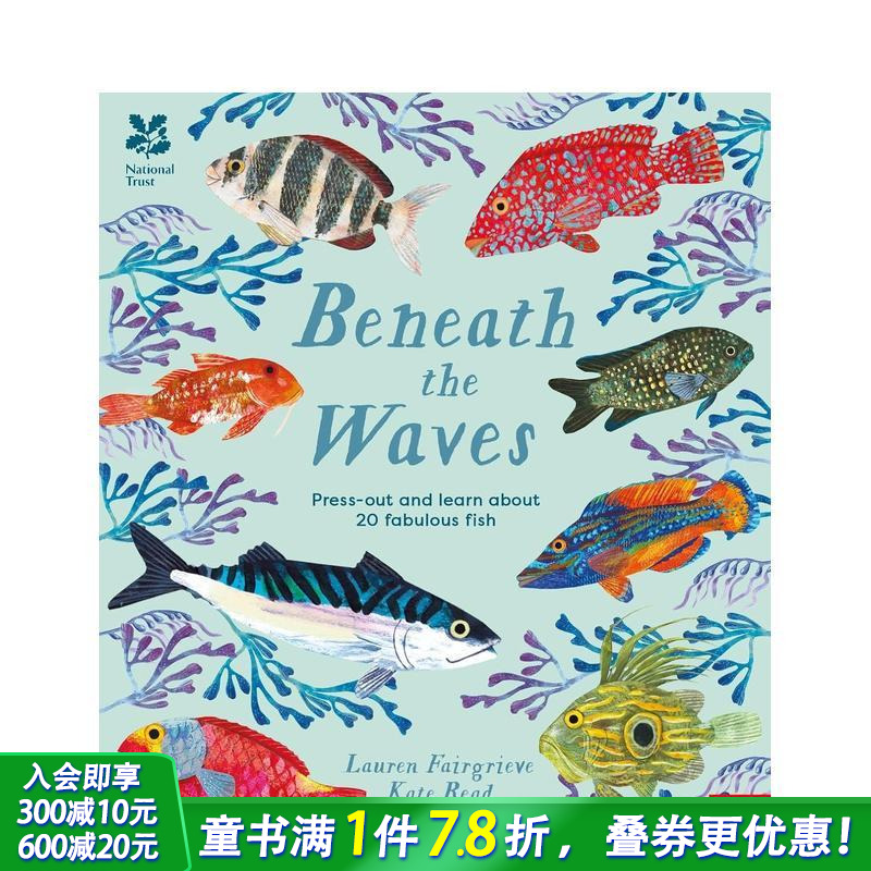 英国国民信托：碧波之下（动手制