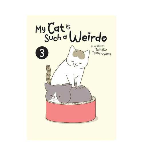 我家的猫又在干怪事了3   卵