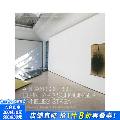 【预售】国际知名瑞士艺术家藏品集 Adrian Schiess - Bernhard Schobinger - Annelies Strba  原版英文艺术画册画集 正版进口书