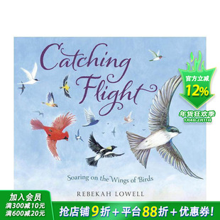 【预售】英文原版 抓紧时间飞行 Catching Flight  跟鸟类学勇气坚强 精装艺术插画绘本 3岁+儿童英语进口图书 善优童书
