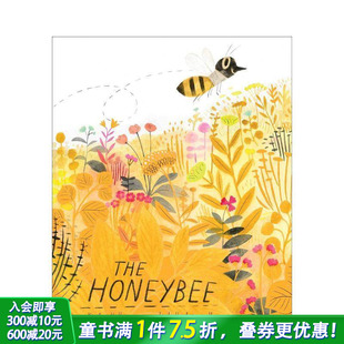 and 进口童书 小蜜蜂和朋友们 英文儿童插画科普故事绘本 The Friends Honeybee 纸板书 蜜蜂 现货