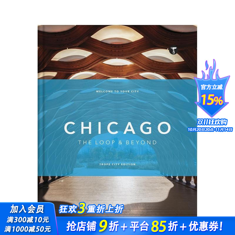 芝加哥建筑元素：环路及周边 T