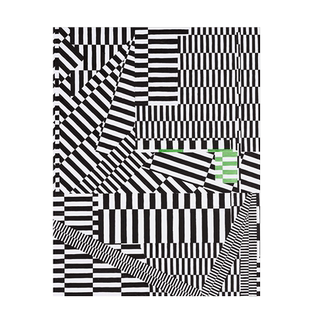 【预售】英文原版 理查德·赖特 Richard Wright 艺术画册 正版进口书籍 善优图书