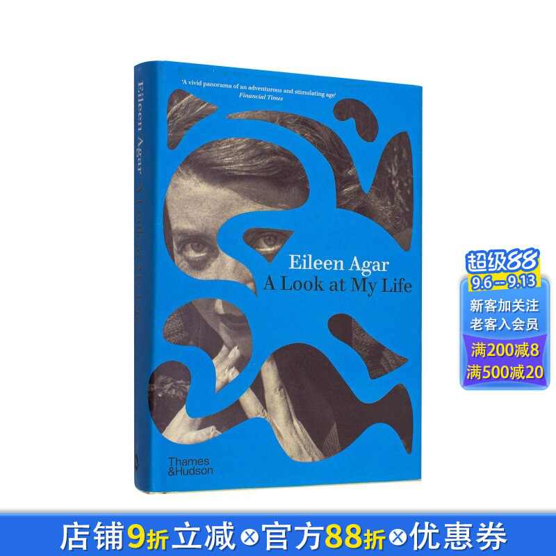 【现货】人生一瞥 艾琳·阿加尔 A Look at My Life 原版英文艺术画册画集 正版进口图书