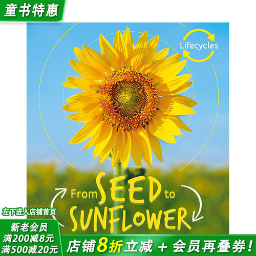 【预售】英文原版 生命周期：种子到向日葵 Lifecycles: Seed to Sunflower  植物科普 6岁+ 儿童艺术插画英语绘本 进口图书