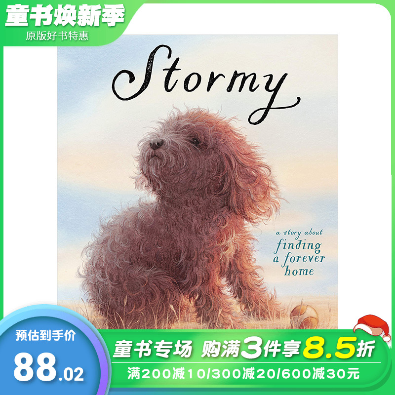 【预售】Stormy狂风暴雨 du生小孩作者郭婧Guojing英文原版儿童艺术绘本【善优童书】