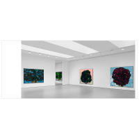 【预售】哈罗德·安卡特作品集 Harold Ancart 个人展览Traveling Light行进的光纪念画册 英文原版进口艺术画册 图书 thumbnail 3