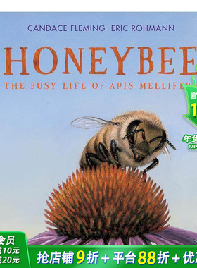 【预售】英文原版 蜜蜂：意大利蜜蜂忙碌的生活Honeybee: The Busy Life of Apis Mellifera 3岁+儿童英语 精装艺术插画绘本进口书