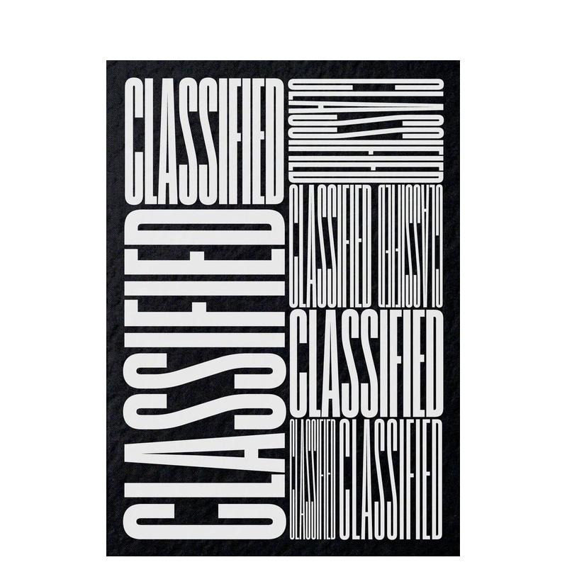 【现货】分类广告:美国南方小镇当地广告视觉实录 Classified: Local Ads from America’s... 英文广告包装设计 正版进口书
