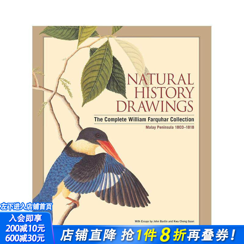 【预售】博物学手绘图谱 Natural History Drawings 原版英文艺术画册画集 正版进口书