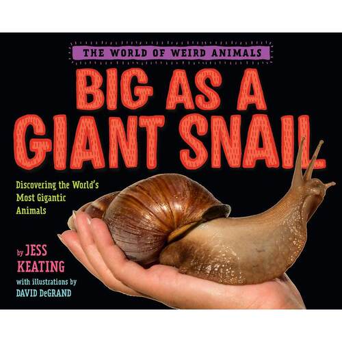 【现货】英文原版 BIG AS A GIANT SNAIL像巨大的蜗牛一样大JESS KEATING 青少年读物生物科普故事启蒙想象力儿童书籍