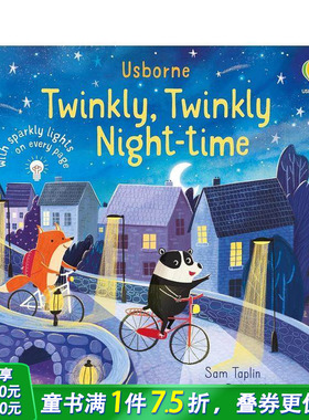 【现货】英语原版 闪闪发光的夜空Twinkly Twinkly Night Time 英文儿童艺术插画绘本故事 进口图书 善优童书