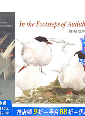 【现货】英文原版 追随奥杜邦的脚步 In the Footsteps of Audubon 插画/原画/设定集 正版进口图书画册 善优图书