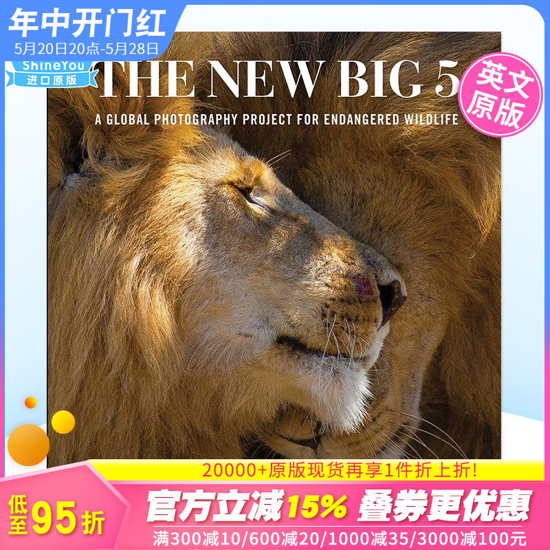 TheNewBig5英文原版进口