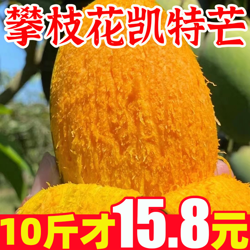 四川攀枝花凯特芒果整箱应当季新鲜水果特大青皮芒果凯特芒包邮