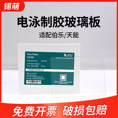 锡萌WB玻璃板梳子电泳蛋白跑胶制胶长板短板厚板通用伯乐Bio