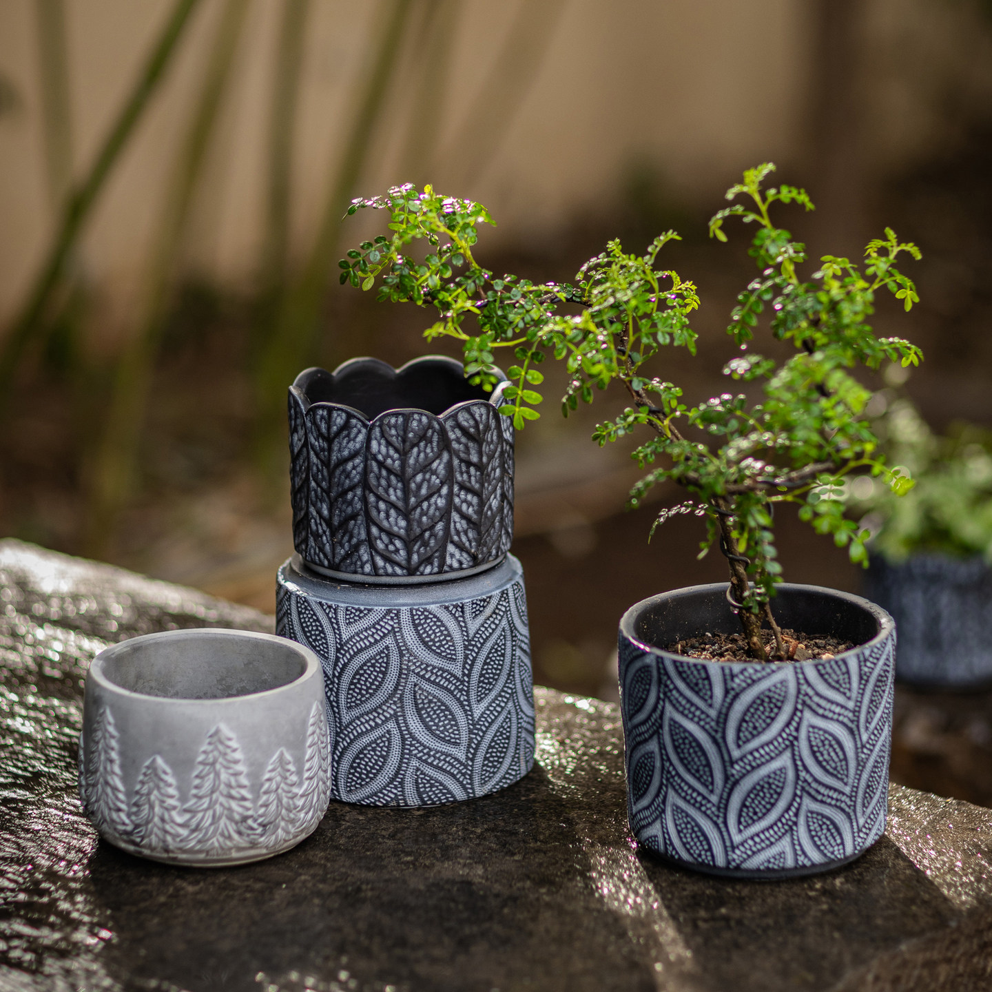 小花盆简约圆形仿陶瓷水泥小号迷你小型家用桌面绿植花器装饰摆件