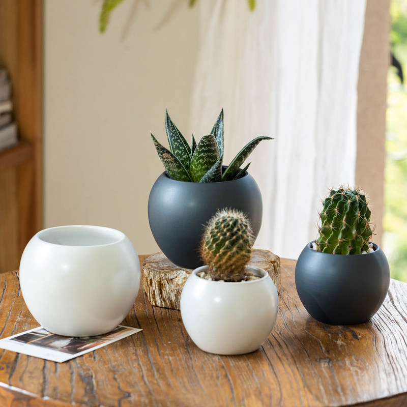 桌面小花盆陶瓷北欧简约花盆高级感多肉植物花器小型圆形花盆小号,家居饰品,花盆,淘宝优惠券,粉丝福利购,淘宝优惠卷