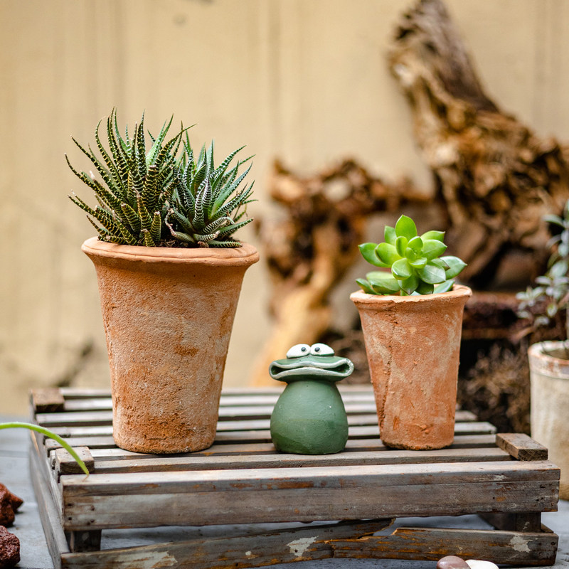 红陶花盆多肉陶盆陶土粗陶透气土陶瓦盆小号陶瓷花盆仿烂根吸水盆,鲜花速递/花卉仿真/绿植园艺,花盆,淘宝优惠券,粉丝福利购,淘宝优惠卷