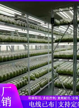 植物光照组培架实验室组培架子可移动培育置物架子植物育苗培养架