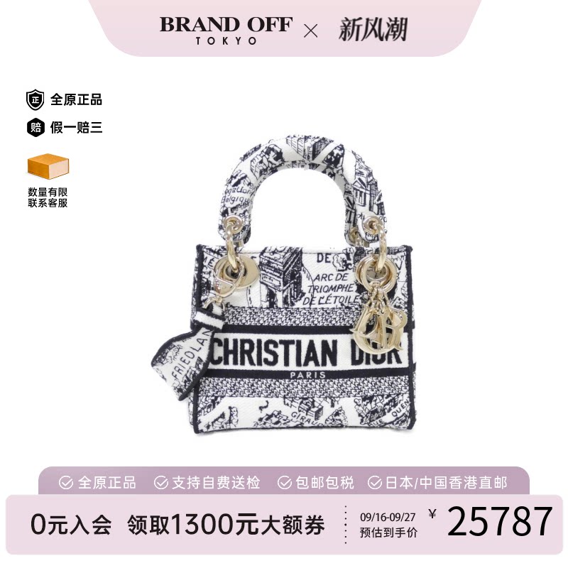 DIOR迪奥PlandeParis斜挎女包图片