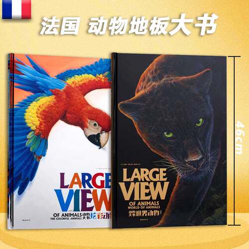 绘本地板大书1岁幼小衔接认知