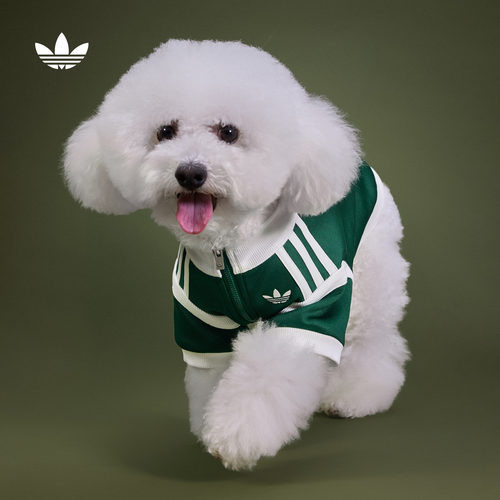 宠物衣服中小型犬复古风三条纹外套狗狗猫咪秋季adidas阿迪达斯