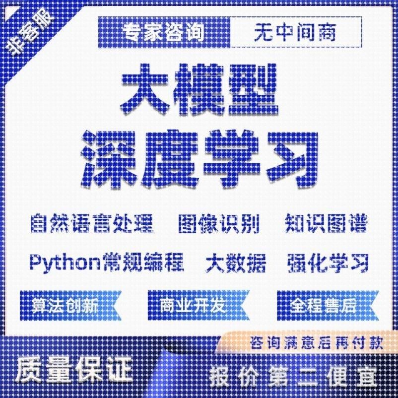 python大模型深度学习/神经网络/算法优化/损失函数/代编程代做