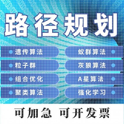 matlab路径规划遗传蚁群蜂群狼群算法代编python强化学习组合优化