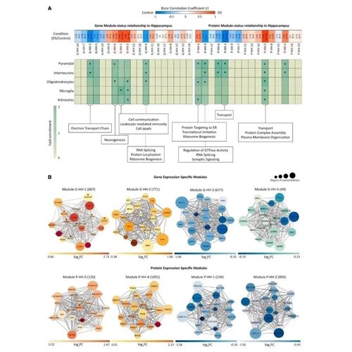 生信分析 SCI 1-9分数据库TCGA GEO挖掘转录组单细胞测序分析