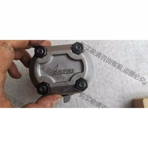 REXPOWER锐力液压齿轮泵 RGP-F202R-12 议价再拍 拆机件