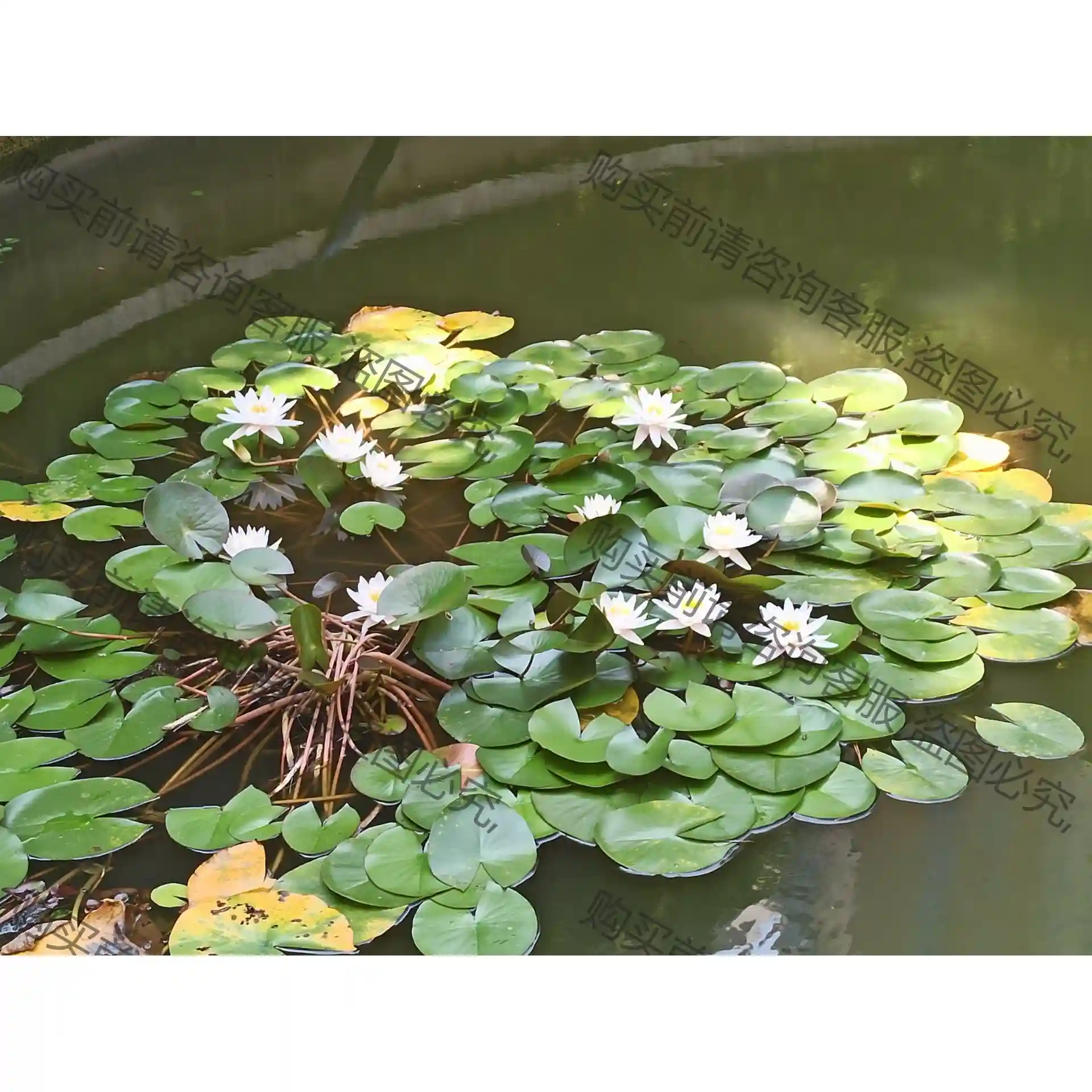 DIY装机专拍 b85PRO gamer主板 议价再拍 拆机件