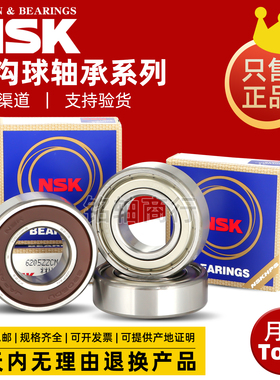 日本NSK进口轴承6200 6201 6202 6203 6204 6205 6206 ZZ RS DDU