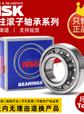 NSK进口圆柱滚子轴承NU NJ304 305 306 307 308 309 310 EM EW C3