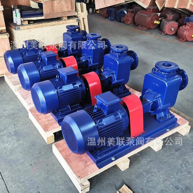 不锈钢自吸泵排水自吸泵防爆自吸泵100ZX100-50