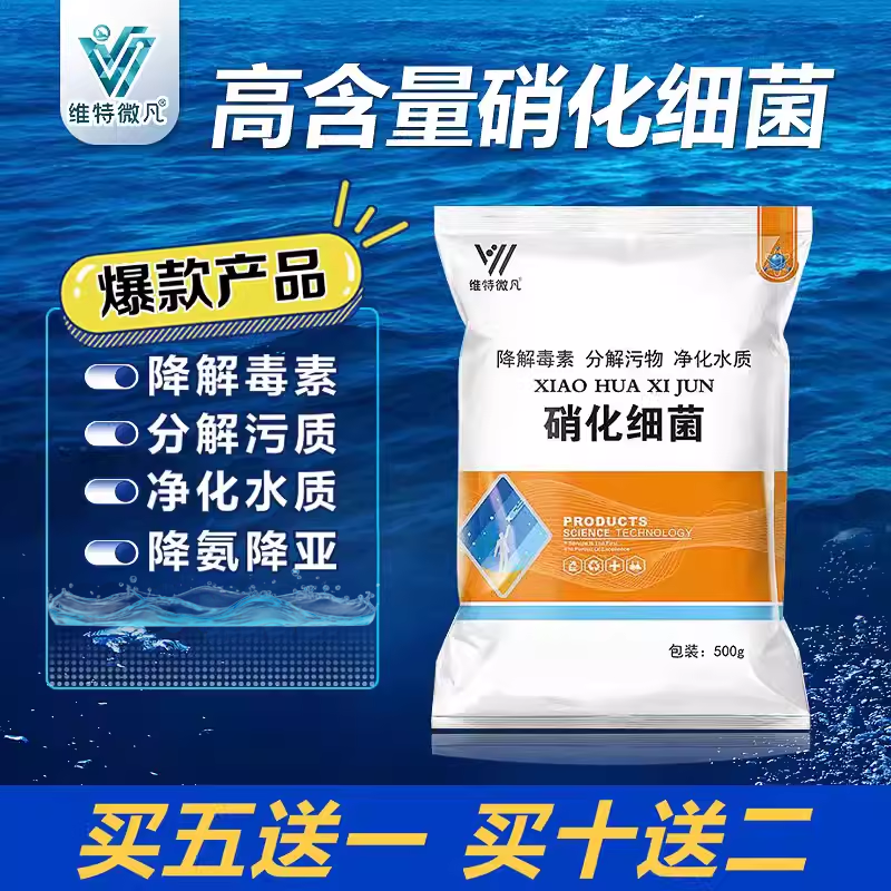 硝化细菌水产养殖生物降氨氮亚硝酸盐分解粪便净化水质底改净水剂