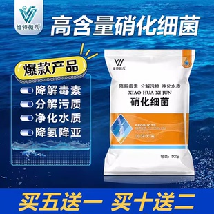 硝化细菌水产养殖生物降解氨氮亚硝酸盐分解粪便净化水质底改