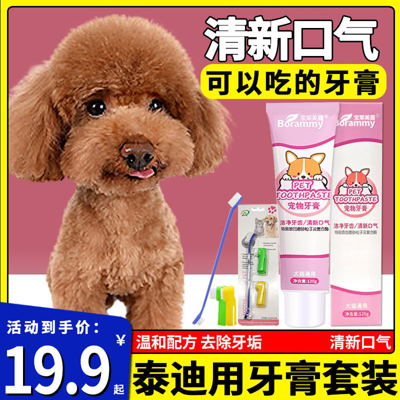 泰迪狗专用牙膏可食用狗狗牙刷牙膏套装小狗小型犬口臭清新口气