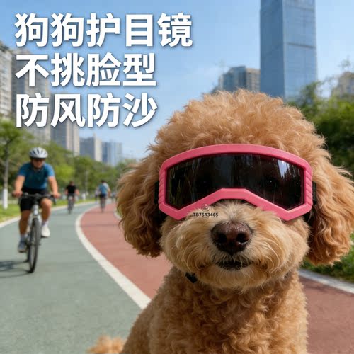 小泰迪专用狗狗护目镜小型犬小狗骑行防风镜宠物狗墨镜太阳镜配饰