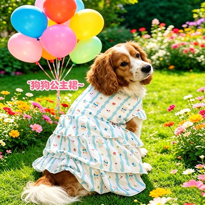 美卡衣服可卡布专用狗狗公主风小裙子宠物连衣裙小型犬春夏天薄款