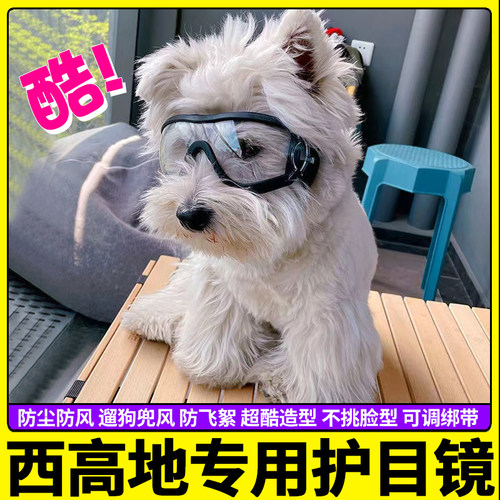 西高地专用狗狗护目镜宠物配饰小狗墨镜防风眼镜小型犬太阳镜防晒