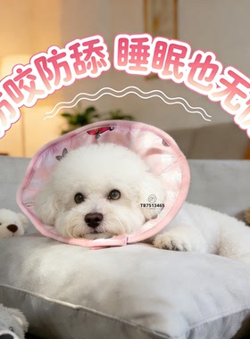 小体比熊专用伊丽莎白圈小型犬狗狗防舔神器耻辱圈宠物狗防咬头套