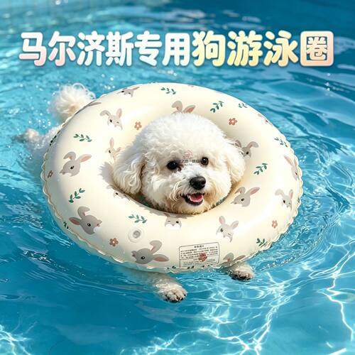 马尔济斯专用游泳圈装备狗狗泳衣小狗小型犬泳圈宠物狗救生衣玩具