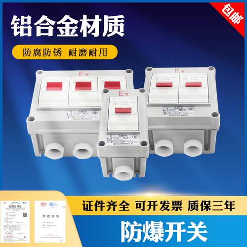 新款防爆断路器 防爆空开 开关 照明开关回路开关BZP30--1K/2包邮