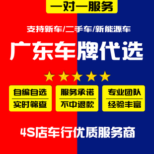 广东广州深圳车牌选号佛山珠海惠州新车汽车新能源自编自选车牌号