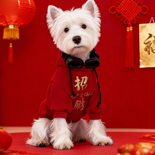 高端狗狗连帽卫衣秋冬加绒保暖西高地比熊小型犬喜庆过年红色衣服